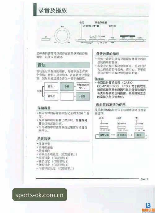 深度揭秘OK体育安装教程使用指南：从下载到畅玩的完整技术解析